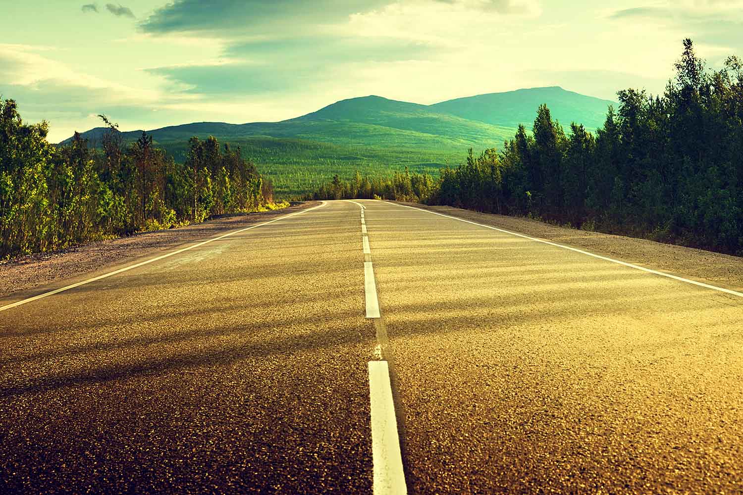 Endless Path-CP114.jpg